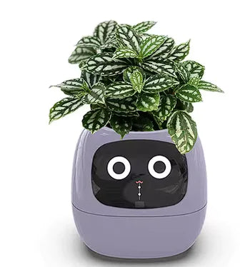 SmartHorizon™ Pink Tuya Smart Planter with AI